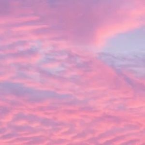 Meet your Posher, Rory